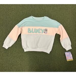 Bluey Dreamy Fleece Sweatshirt Girls XSmall Aqua Blue Colorblock Midweight LUDO